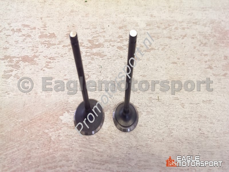 Inlaat + uitlaat klep Jinling jla 21b